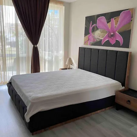 아파트 Ivanovi A119